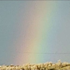 Meet your Posher, Lizzie